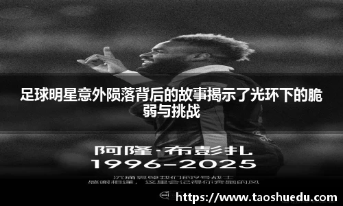 好博
