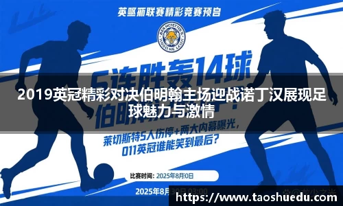 2019英冠精彩对决伯明翰主场迎战诺丁汉展现足球魅力与激情