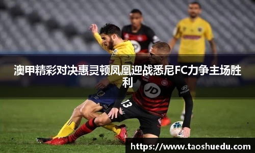 澳甲精彩对决惠灵顿凤凰迎战悉尼FC力争主场胜利